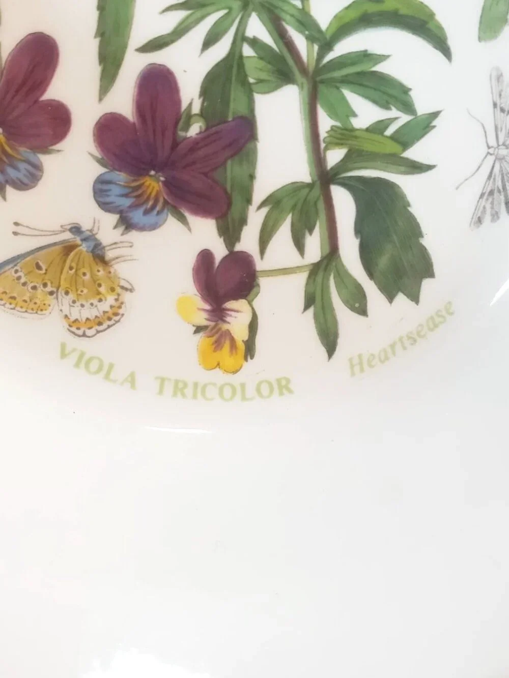 Vtg 1972 Portmeirion Botanic Garden Viola Tricolor Chamaedrys Soup Cereal Bowl